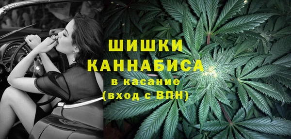 кристаллы Новозыбков