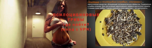 винт Новокубанск