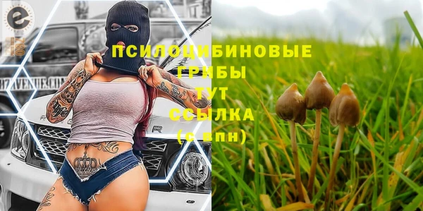 винт Новокубанск