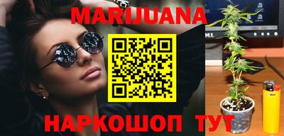 МДПВ Гатчина