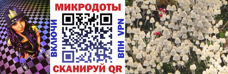купить   Барабинск  Псилоцибиновые грибы мицелий 