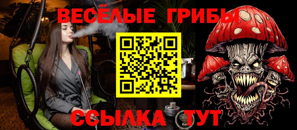 Псилоцибиновые грибы MAGIC MUSHROOMS  даркнет сайт  Барабинск  Вход с VPN 