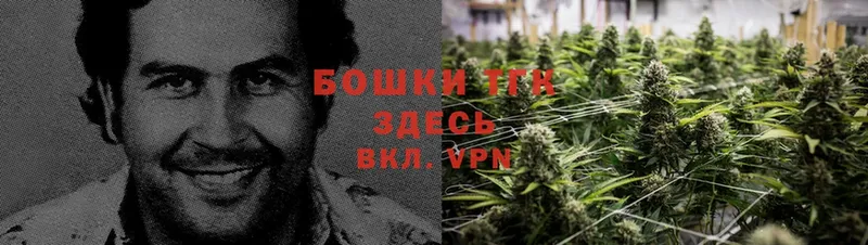 Конопля THC 21%  где можно купить   ссылка на мегу зеркало  Барабинск 